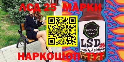 стафф Камышлов