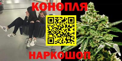 гидропоника Канаш