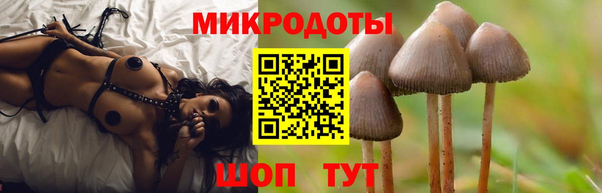 Псилоцибиновые грибы Psilocybe  Вход с VPN  Михайловск 